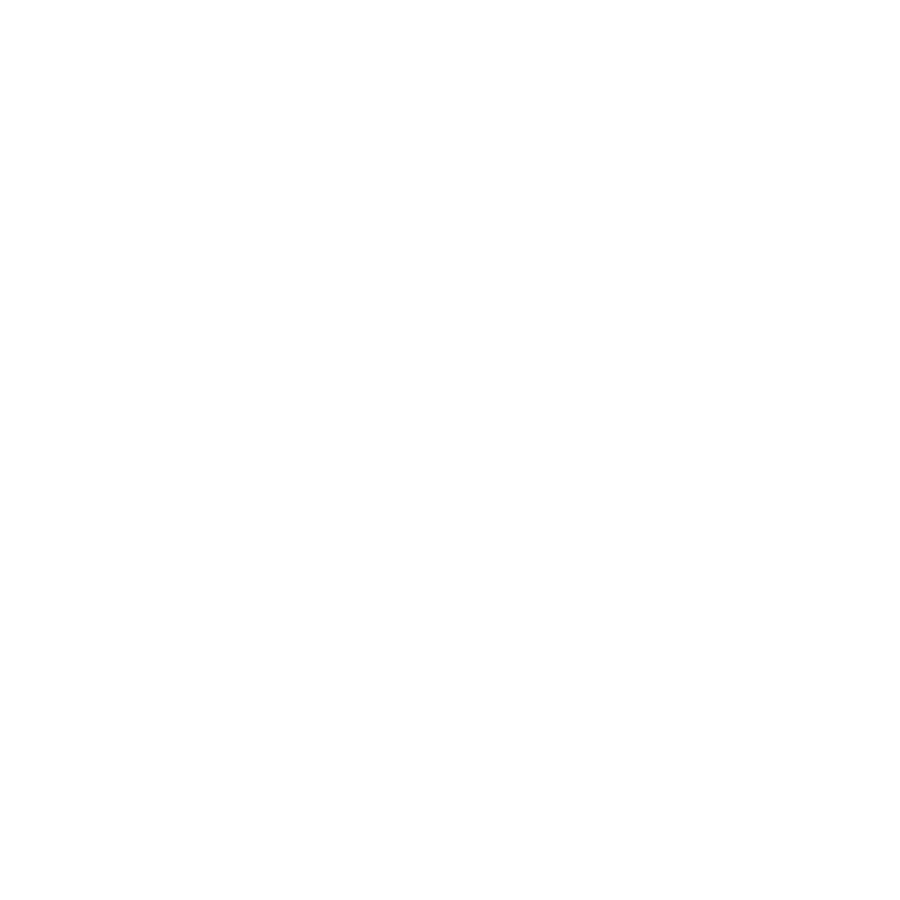 ZONE Brain